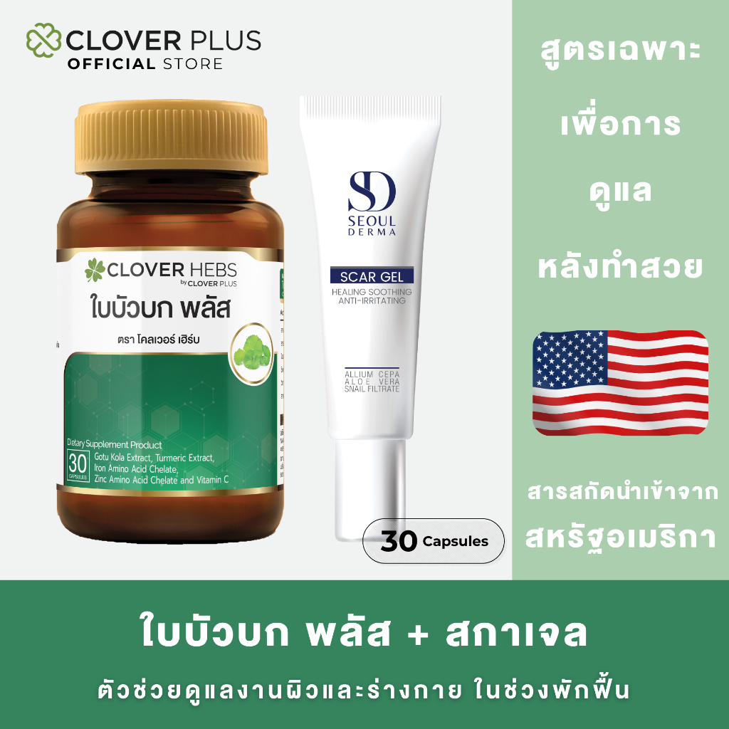 จับคู่ Clover Hebs By Clover Plus สมุนไพร ใบบัวบก พลัส 30 แคปซูล x Seoul Derma Scar Gel สกาเจล เจลแต้มรอย 1 หลอด
