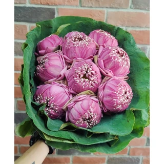 บัวชมพู ช่อดอกบัวพับใหญ่ ไหว้พระ 10 ดอก 19 ดอก สีชมพู ส่งตรงจากปากคลองตลาด [ส่งทันทีในวัน⚡]