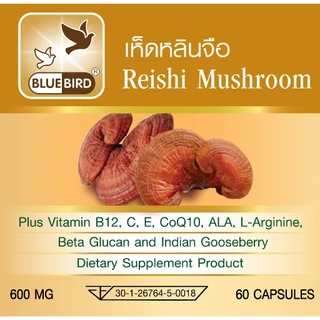 เห็ดหลินจือ Reishi Mushroom ตรา บลูเบิร์ด ขนาด 600 มิลลิกรัม 30,60 แคปซูล