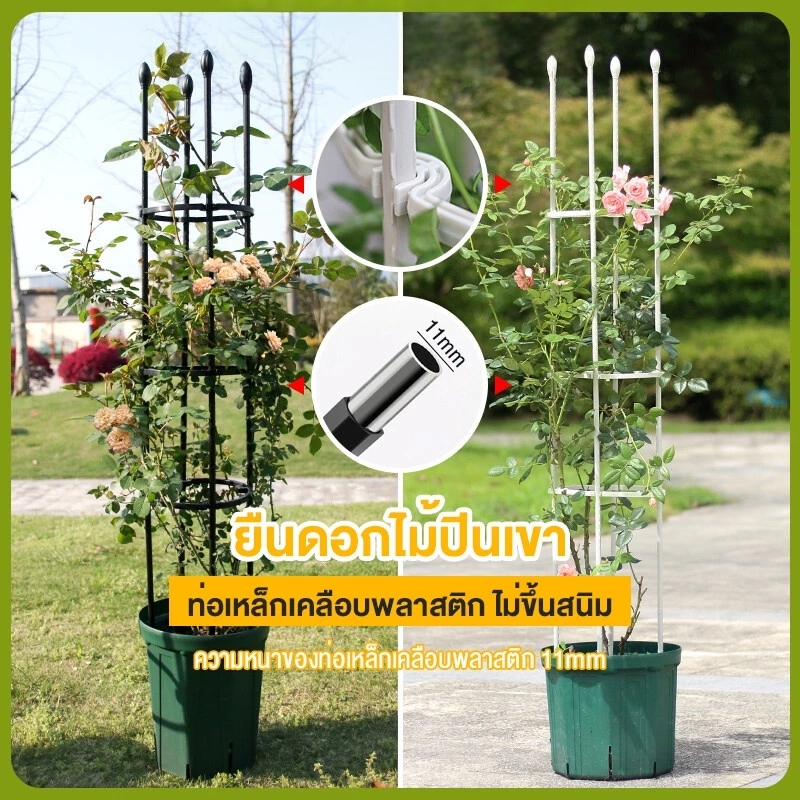 ระแนงไม้เลื้อย ซุ้มต้นไม้ ท่อเหล็กเคลือบ PE กันสนิม โครงเหล็กดัด โครงไม้เลื้อย ซุ้มกุหลาบ ซุ้มไม้เลื้อย ซุ้มไม้เลื้อย