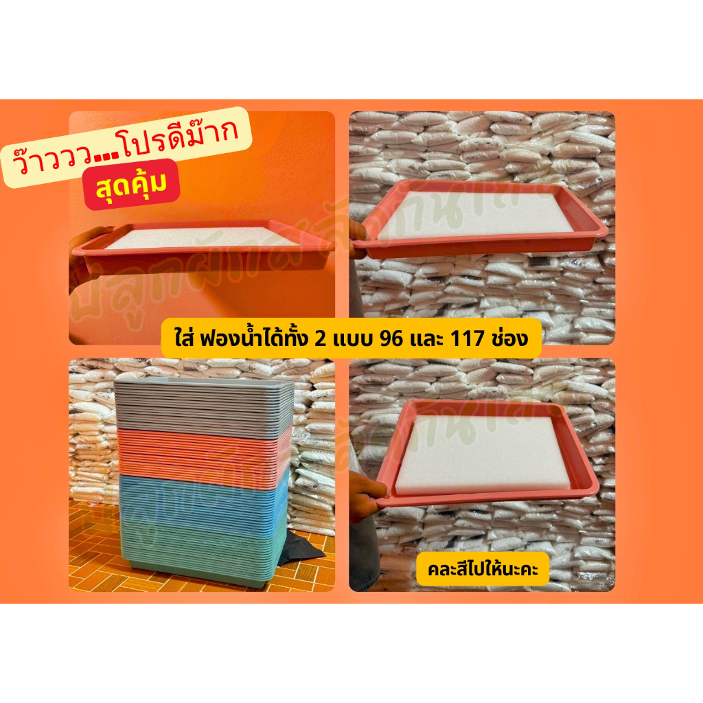 ถาดเพาะ แบบมาตรฐาน ใส่ฟองน้ำเพาะเมล็ด ได้ทั้ง2แบบ ไฮโดรโปนิกส์ คุ้ม โปรดี ทนทานคุณภาพ คละสี
