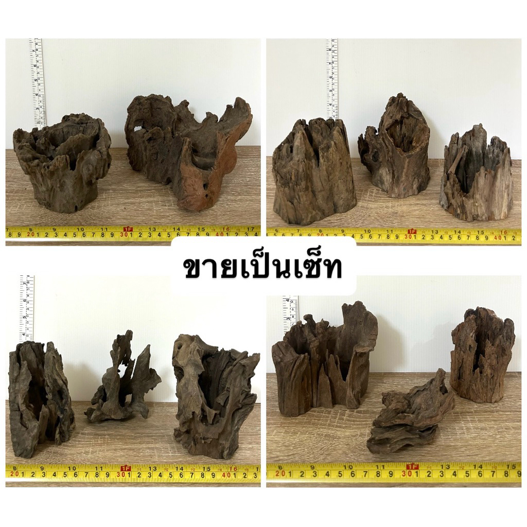 ตอไม้ รากไม้ ตู้ปลา จัดสวนถาด driftwood ไม้แต่งตู้ปลา