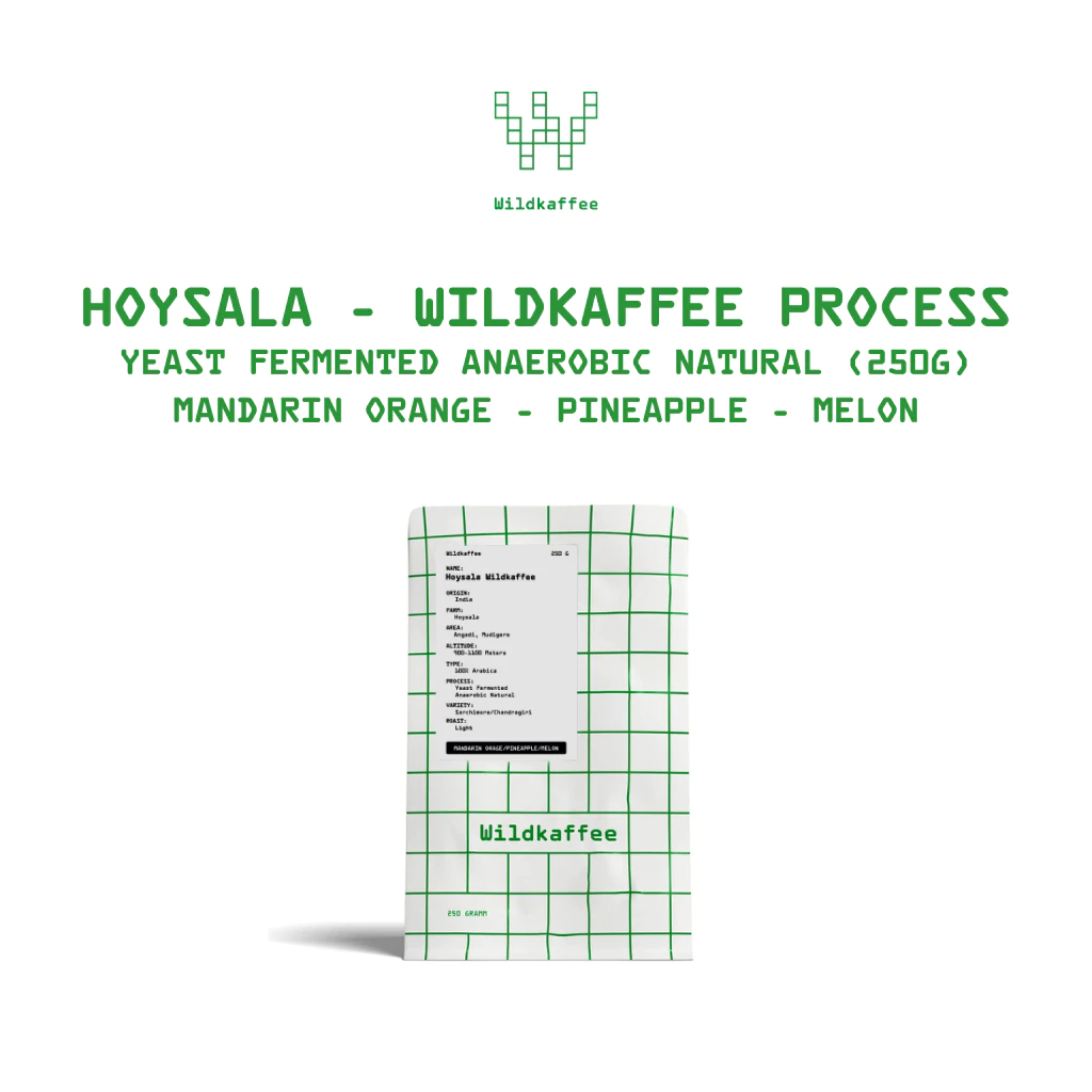 Wildkaffee กาแฟคั่วอ่อน ดริป Hoysala Lost Origin Yeast Anaerobic ผลไม้จัด อินเดีย | India Hoysala Coffee 250g