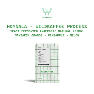 Wildkaffee กาแฟคั่วอ่อน ดริป Hoysala Lost Origin Yeast Anaerobic ผลไม้จัด อินเดีย | India Hoysala Coffee 250g