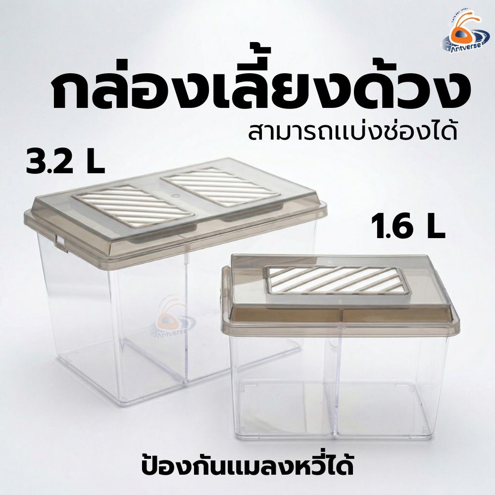 กล่องเลี้ยงแมลง กล่องเพาะด้วง ป้องกันแมลงหวี่ สำหรับด้วงกว่าง ด้วงคีม