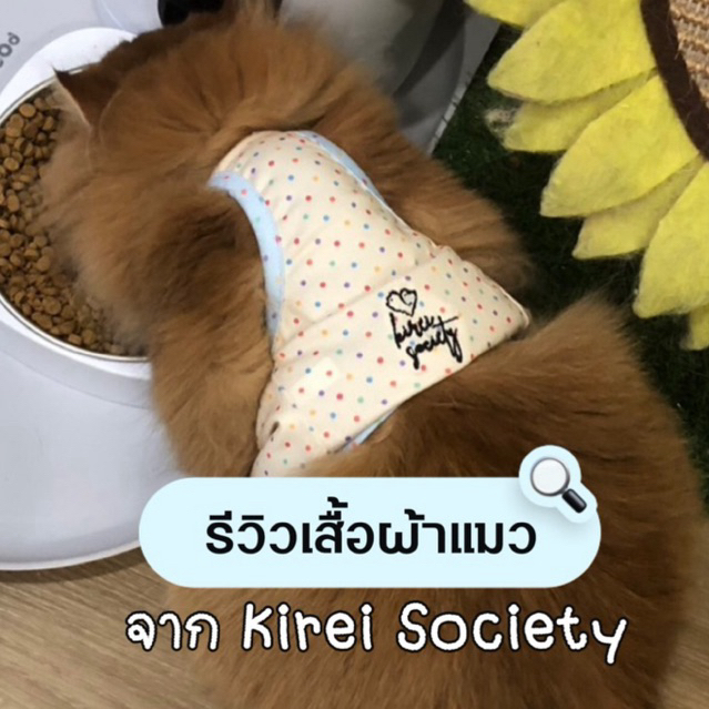 KIREI SOCIETY เสื้อปักสำหรับน้องแมวมีครบ size รูปที่ 4