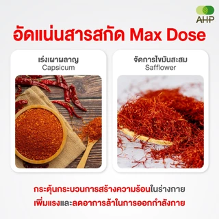 แพ็คคู่ถูกกว่า Block & Burn [B&B สารสกัดจากถั่วขาว White Kidney Bean และ C&S สารสกัดจากพริก และ ดอกคำฝอย Capsicum & CLA]