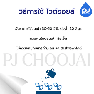 ไวต์ออยล์ แกลลอนขนาด 5ลิตร ฉลากใหม่