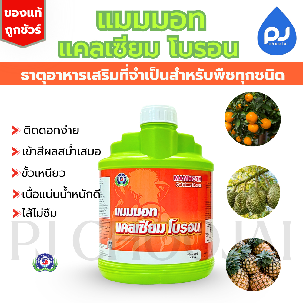 อาหารเสริมพืช แมมมอท แคลเซียม โบรอน 4ลิตร ช่วยติดดอกติดผล แก้ผลร่วง ของแท้ ราคายกลังในร้านถูกกว่า!!