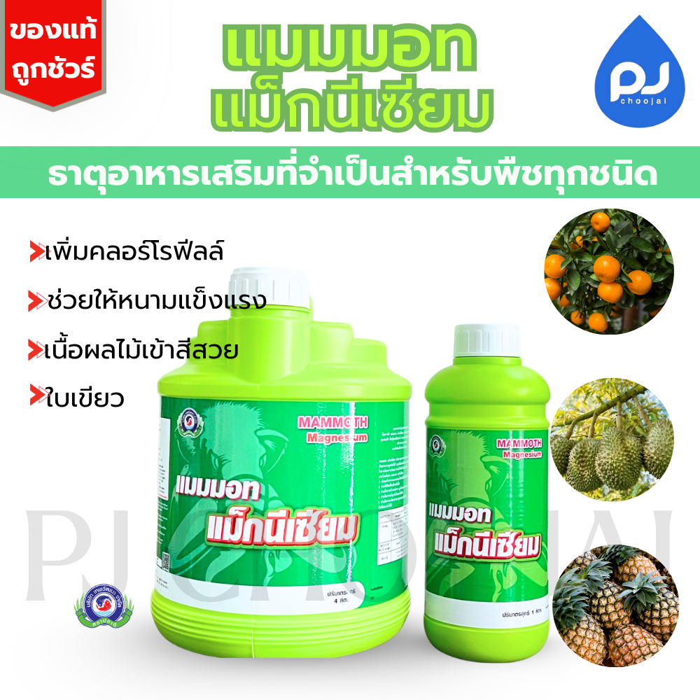 อาหารเสริมแมมมอท แม็กนีเซียม