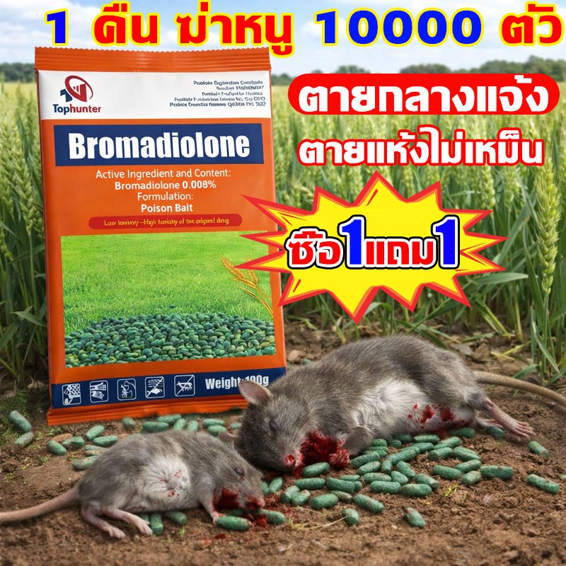 เหยื่อกำจัดหนู (ซากแห้ง) แท้! ล่อหนูดีมาก 1 วัน ยาเบื่อหนูตายแห้ง เริ่มต้นโดยเฉลี่ย ซากไม่มีกลิ่น สำเร็จรูป ยาฆ่าหนู