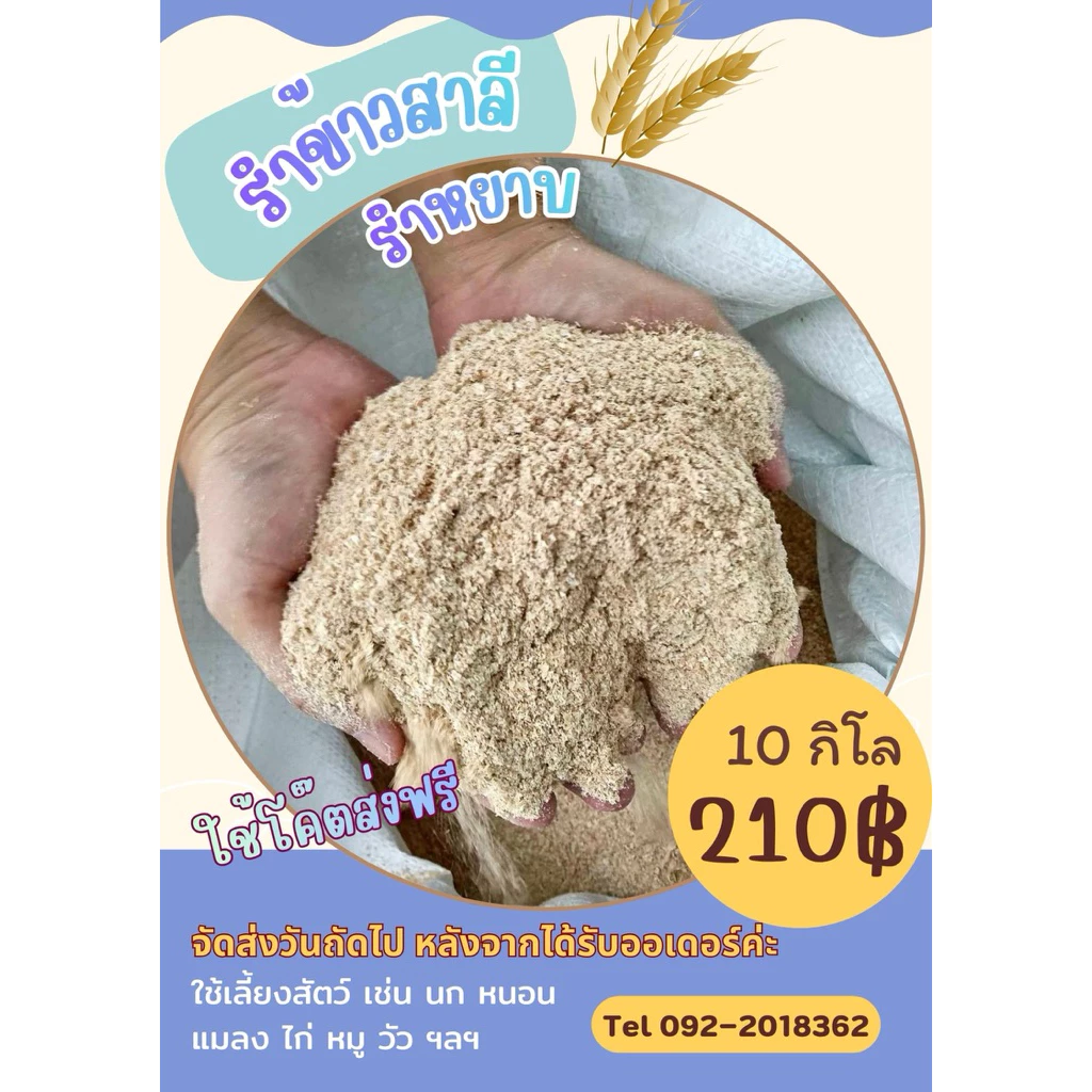 รำข้าวสาลี ”10กิโล“[ใช้โค๊ตส่งฟรี] รำหยาบ จัดส่งวันถัดจากได้รับออเดอร์ค่ะ สำหรับสัตว์พร้อมส่งคุณภาพดี