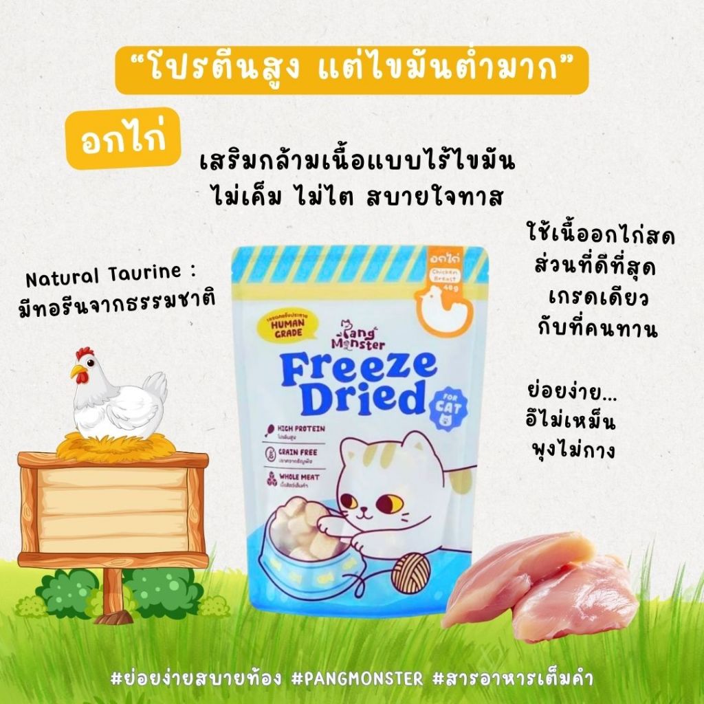 Pang Monster อกไก่เต๋าฟรีซดราย (Chicken Cube)