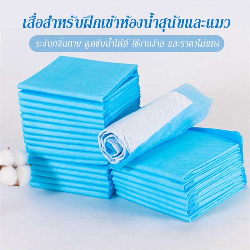PETWELL แผ่นรองฉี่สุนัข แผ่นคาร์บอน ซึมซับไดีดี ต่อต้านแบคทีเรีย ช่วยฝึกขับถ่าย ระงับกลิ่น ราคา ถูกที่สุด ดีลบีเคเค แกลเลอรีภาพที่ 4