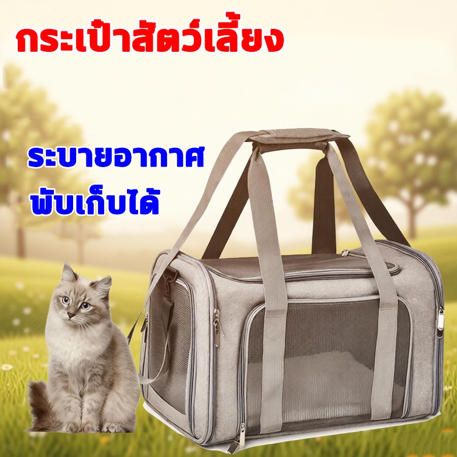 กระเป๋าแมว พับเก็บได้ กระเป๋าใส่แมว กรงแมวพกพา กระเป๋าแมวขนาดใหญ่ กระเป๋าใส่สัตว์เลี้ยง สำหรับเดินทางสัตว์สะพายสุ