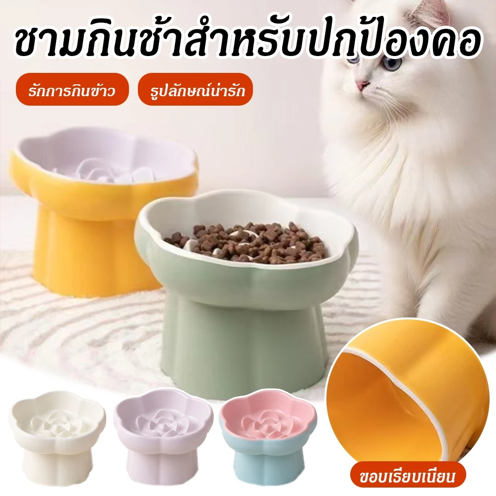 ชามอาหารสัตว์เลี้ยง ชามอาหารแมวเซรามิค ป้องกันการพลิกคว่ํา สุนัข แมว