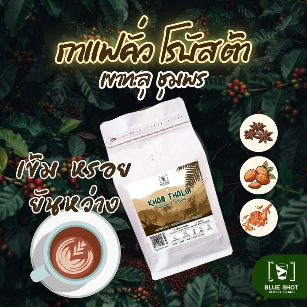 กาแฟคั่ว โรบัสต้า เขาทะลุ ชุมพร | 100% Robusta | พรีเมียม | คั่วสด บดฟรี