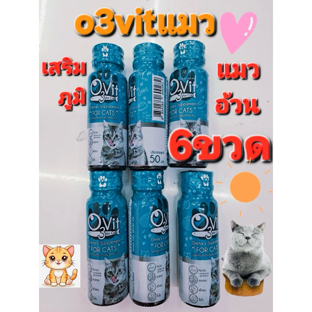 O3Vit For Cat อาหารเสริมสำหรับแมว ขนาด 50ml (x6ขวด)