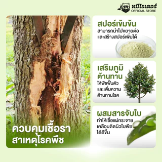 ไตรโคแนกซ์ 500 กรัม สูตรเข้มข้น | จุลินทรีย์ชีวภัณฑ์ ต้านทานโรคพืช เสริมภูมิต้านทานพืช