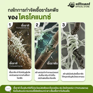ไตรโคแนกซ์ 500 กรัม สูตรเข้มข้น | จุลินทรีย์ชีวภัณฑ์ ต้านทานโรคพืช เสริมภูมิต้านทานพืช