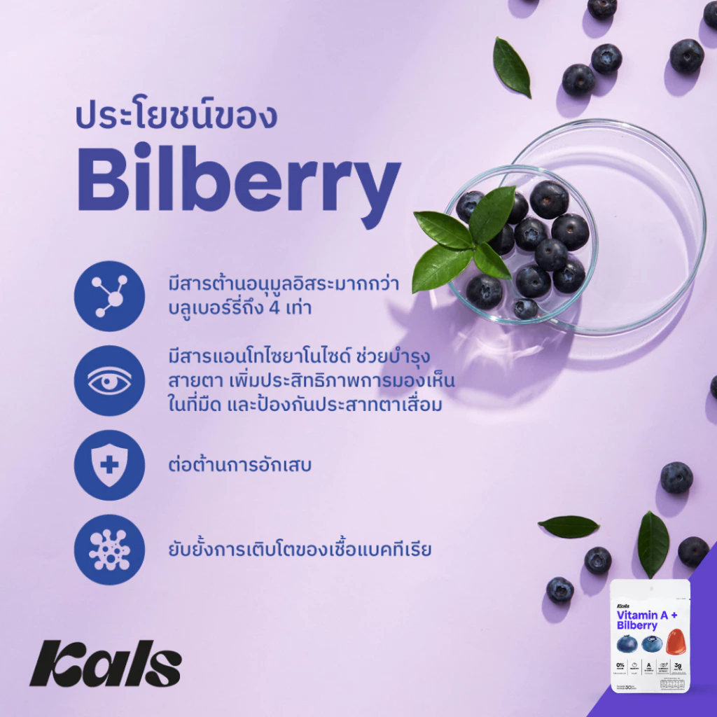 [1 ซอง] Kals วิตามินกัมมี่ Vitamin A + Bilberry ไม่มีน้ำตาล มีบิลเบอร์รี่ ลูทีน บำรุงสายตา thumbnail 5