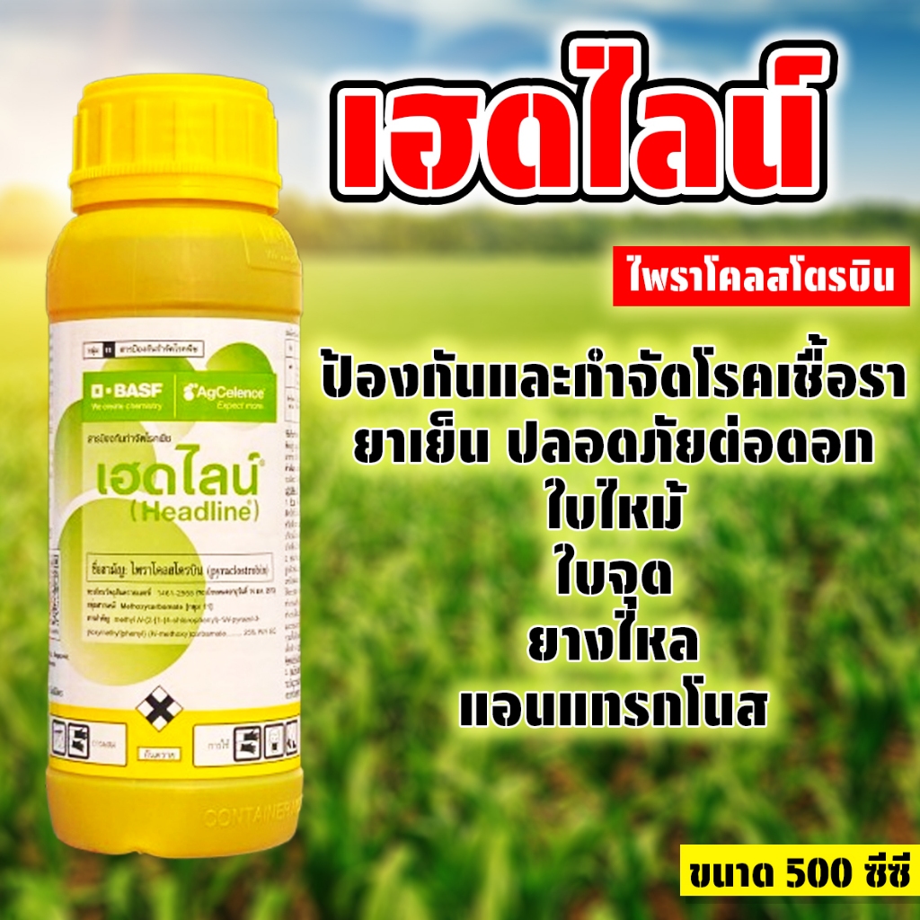 เฮดไลน์ (ไพราโคลสโตบิน 25% W/V EC) ขนาด 500 ซีซี สารป้องกันโรคพืชที่เกิดจากเชื้อรา