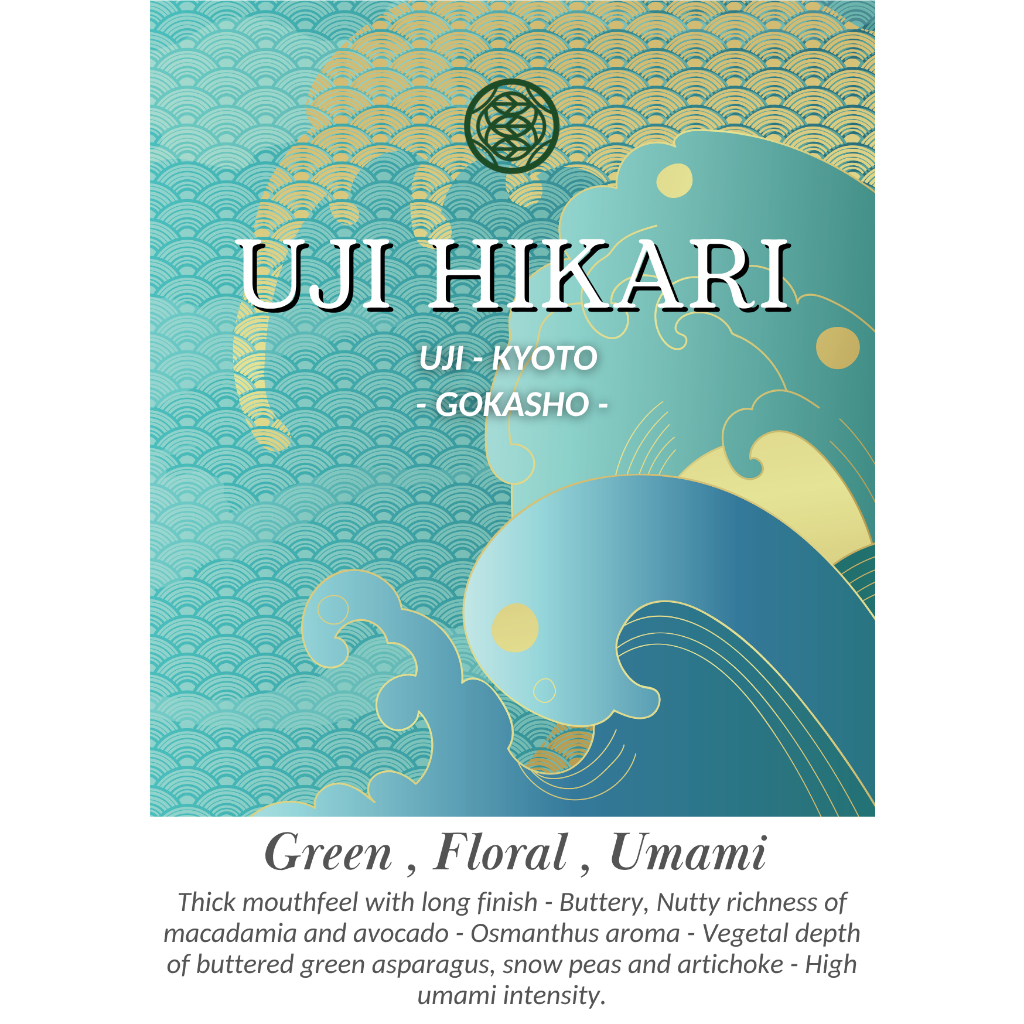 UJI HIKARI : Competition grade / 20G