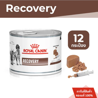 [วันหมดอายุ11/27] Royal Canin Recovery อาหารเปียกสุนัขและแมว สำหรับป่วยพักฟื้นและการดูแลหลังผ่าตัด 195g. 12กระป๋อง