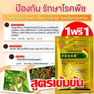 【ซื้อ1แถม1】วัคซีนพืช ป้องกันโรคพืช พริกเน่า กุ้งแห้ง รากเน่า ผลเน่า ใบเหลือง ใบม้วน เชื้อรา พร้อมส่ง