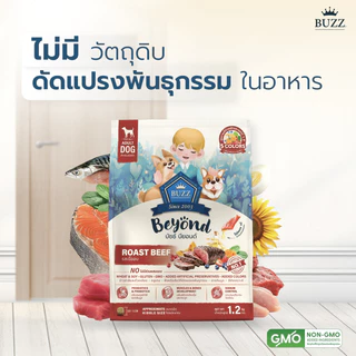 { ล็อตใหม่ } Buzz Beyond อาหารสุนัข บัซซ์ บียอนด์ หมาโต ลูกหมา แซลมอน เนื้อ ไก่ตับ แกะ ขนาด 1 - 1.2 กิโลกรัม