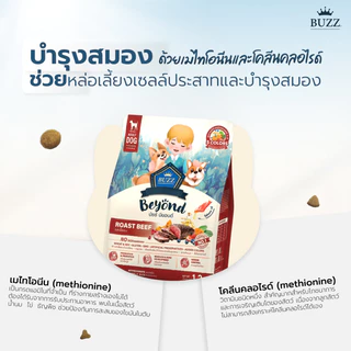 { ล็อตใหม่ } Buzz Beyond อาหารสุนัข บัซซ์ บียอนด์ หมาโต ลูกหมา แซลมอน เนื้อ ไก่ตับ แกะ ขนาด 1 - 1.2 กิโลกรัม