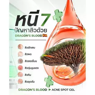 [ส่งด่วน] Dragon’s Blood Acne Spot Gel [แบบกล่อง] ดราก้อนบลัดซองเขียว [ของแท้ 100%]
