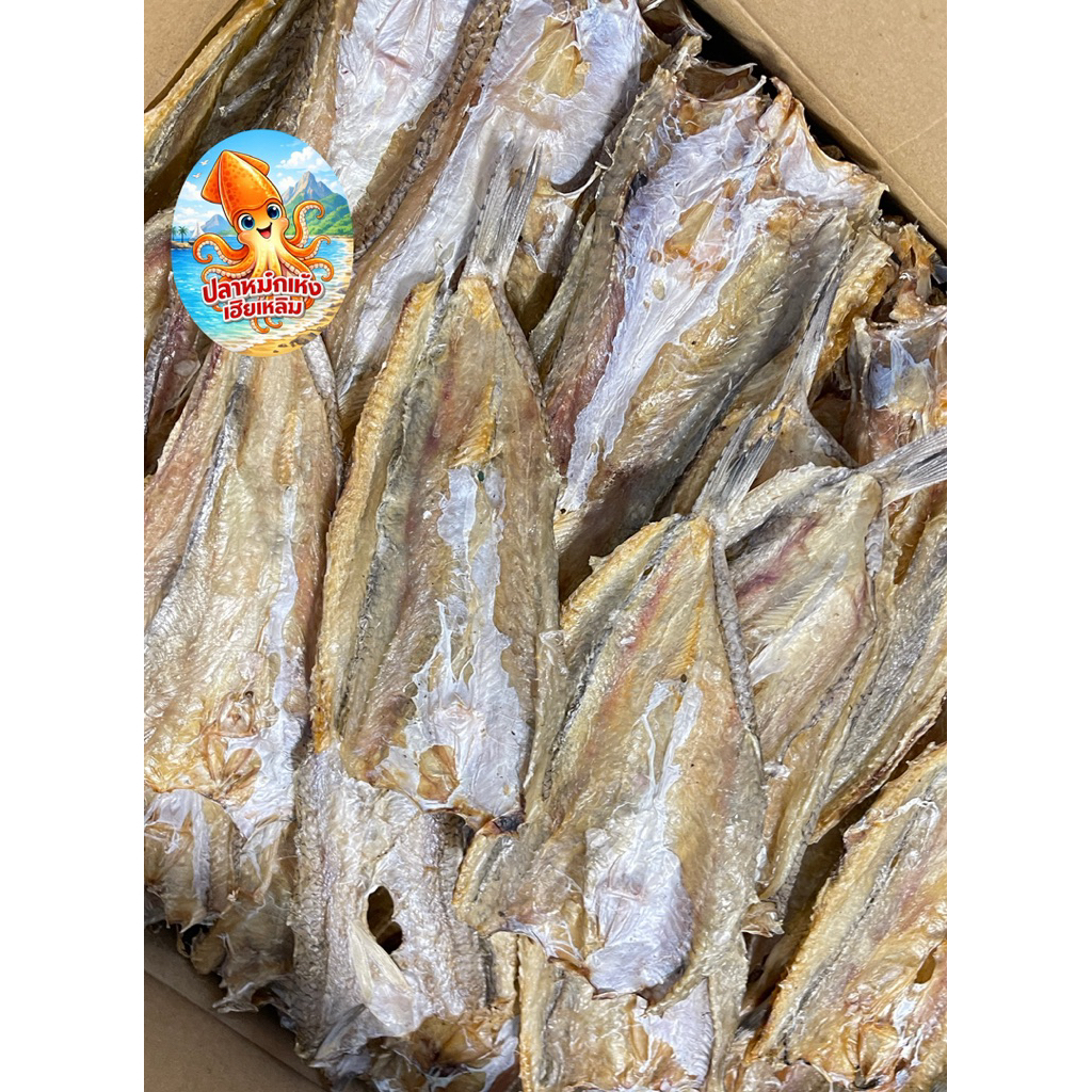 ปลาช่อนทะเลกลางคุณภาพสูง