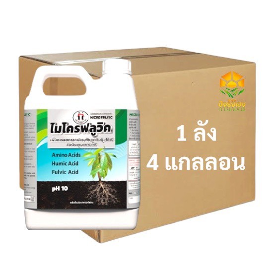 (ยกลัง 4 แกลลอน)ไมโครฟลูวิค ตราหญิงงาม ขนาด 5 ลิตร ฮิวมิก+ฟลูวิค+อะมิโนกระตุ้นการแตกราก เพิ่มการแตกรากฝอย  ล้างสารแพกโค