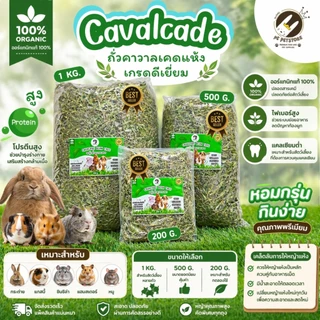 หญ้าถั่วคาวาเคดแห้ง เกรดดีเยี่ยม Cavalcade กลิ่นหอม เหมาะสำหรับเลี้ยง(มี3ขนาด)ถั่วคาวาลเคดให้กระต่ายกินได้ทั้งสดและแห้ง