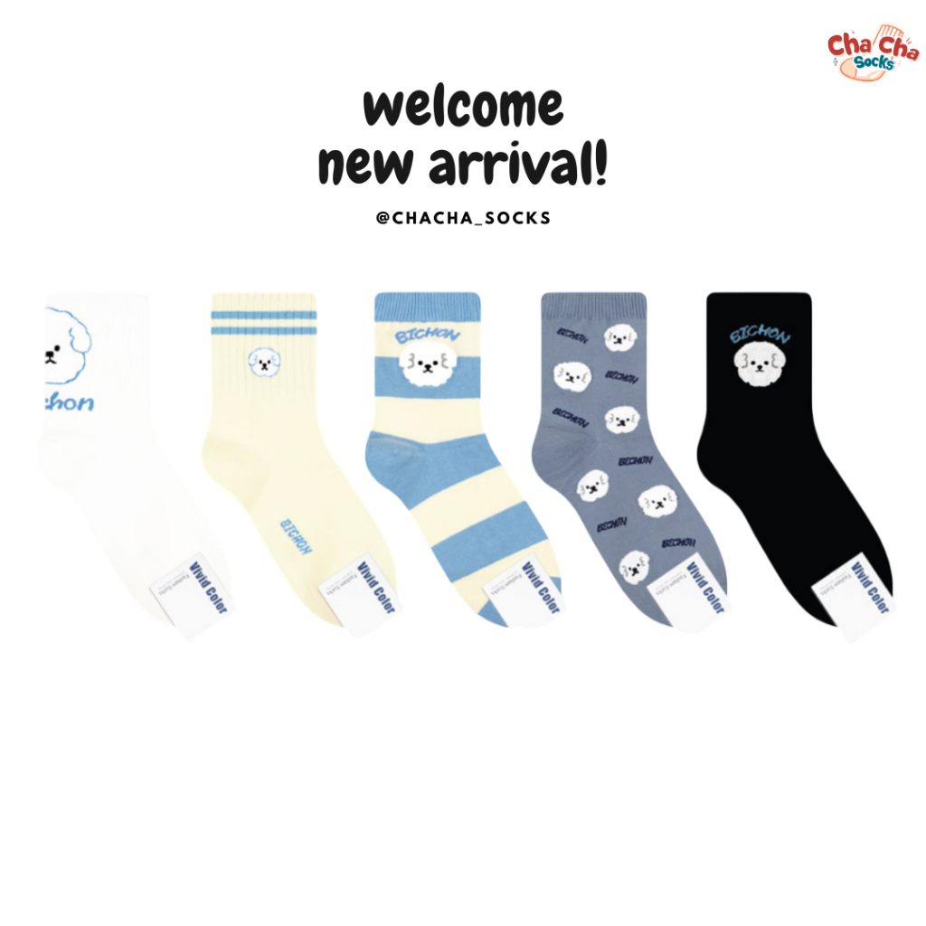 Chacha socks - ถุงเท้าข้อยาว Bichon Socks แบรนด์ Vivid Color ถุงเท้าเกาหลี