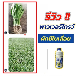 พาวเวอร์โกรว์#PowerGrow#1ลิตรแถม500cc
