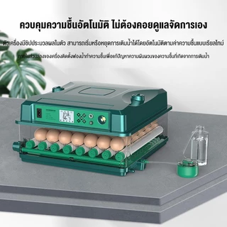 PPD ตู้ฟักไข่ ตู้ฟักไข่อัตโนมัติอัพเกรด พลิกไข่อัตโนมัติ 12/36/64 ไข่ การป้องกันไฟแบบสองด้าน ฟรีกล่องหุ้มฉนวนหนา