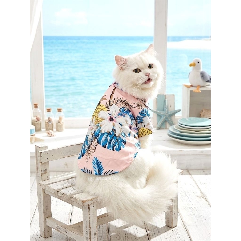 พร้อมส่ง Aloha Hawaiian Beach Shirt เสื้อหมาฮาวาย เสื้อแมวฮาวาย เสื้อสงกรานต์แมว เสื้อสงกรานต์หมา ชุดสงกรานต์