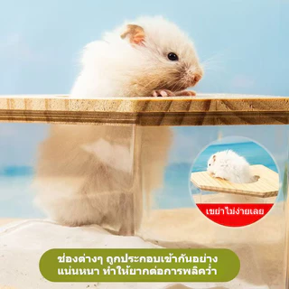 [hamster travel]หนูแฮมสเตอร์อาบน้ำอ่างทรายอุปกรณ์ครบครันห้องอาบน้ํา คริลิค เต็มโปร่งใสหมีสีทองขนาดใหญ่ห้องน้ําอาบน้ํา