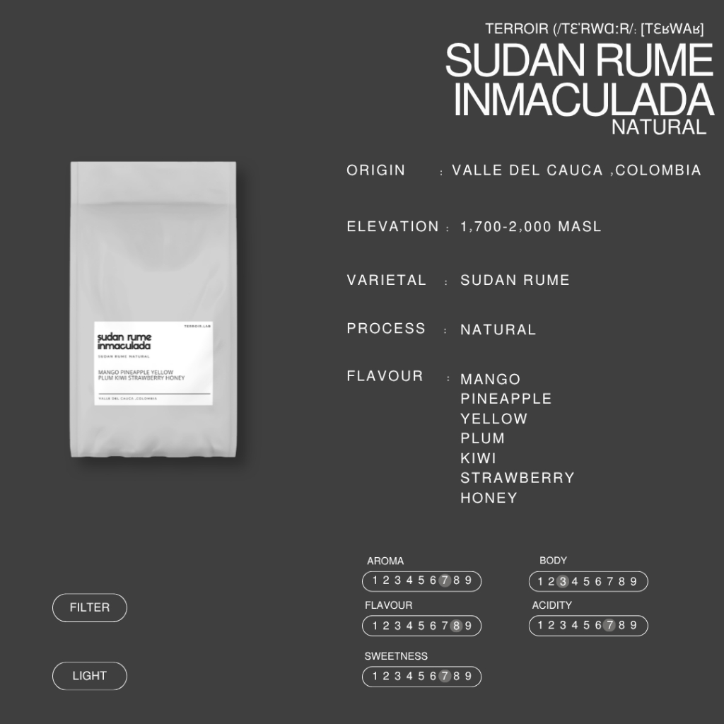 (พร้อมส่ง)Sudan Rume Inmaculada | Filter Roast | กาแฟ Single Origin  ขนาด 100g