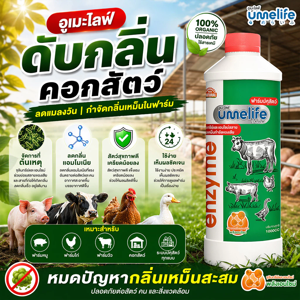 อูเมะไลฟ์ ปศุสัตว์ 1000cc แพ็ค 1-3 ขวด กำจัดกลิ่นคอกสัตว์ ดับกลิ่นเหม็น ลดแมลงวันในคอกวัว หมู ไก่