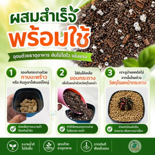 (ยกกระสอบ 5 กิโล) ดินปลูกแคคตัส ไม้อวบน้ำ ดินปลูกกระบองเพชร ผสมสำเร็จพร้อมปลูก เนื้อดินโปร่ง แร่ธาตุสูง (ดินผสมสดใหม่)