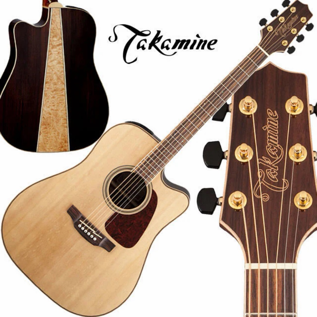 takamine gd93ce & hard case for Aek