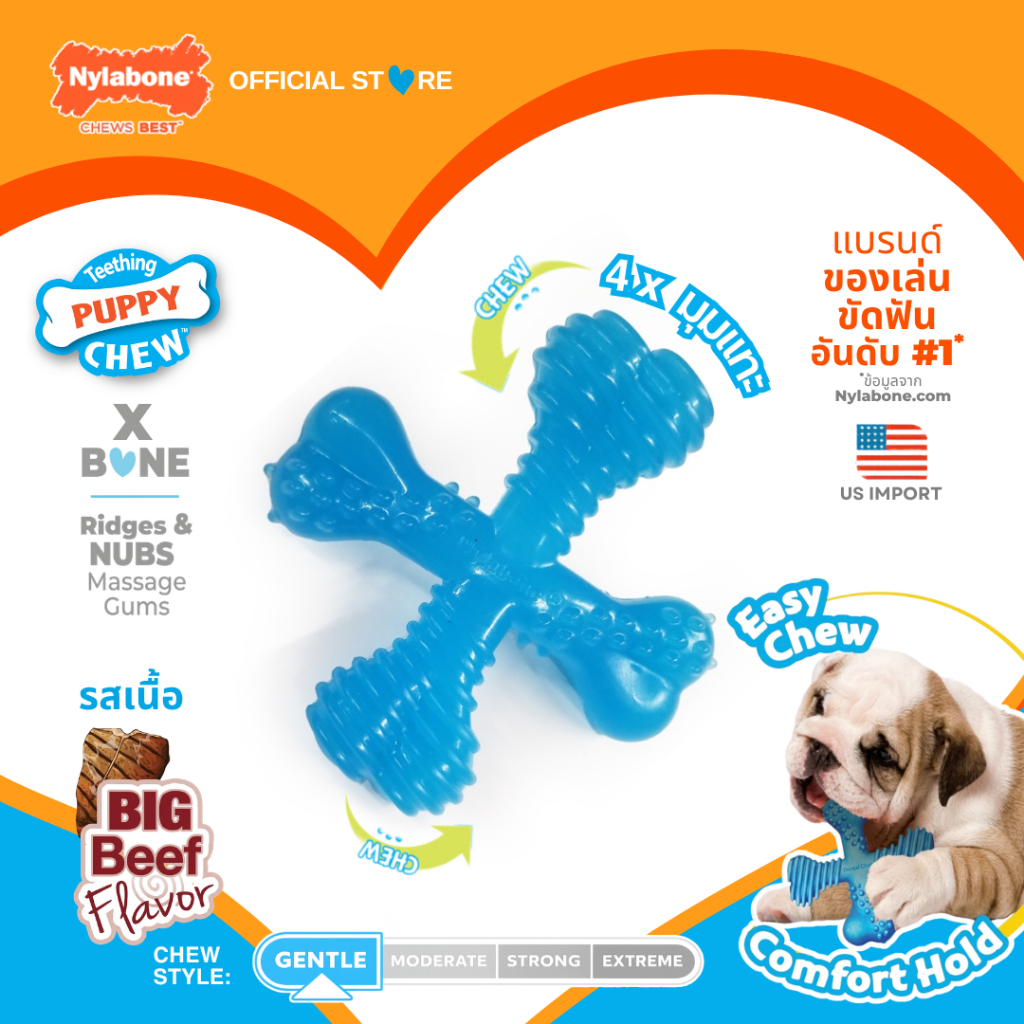 Nylabone Puppy Chew Comfort Hold X Bone Beef Flavor กระดูกขัดฟัน ของเล่นลูกสุนัข ไร้สารพิษ Dog Toy