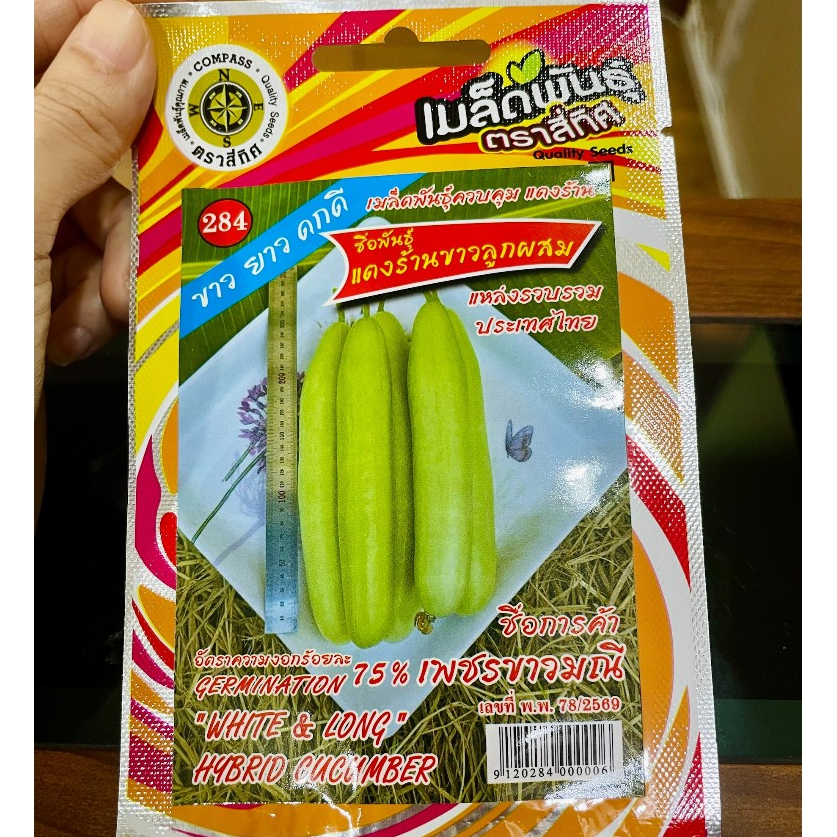 เมล็ดแตงร้านขาวลูกผสม (เพชรขาวมณี) ขาว ยาว ดกดี เมล็ดผัก เมล็ดพันธุ์ ตราสี่ทิศ
