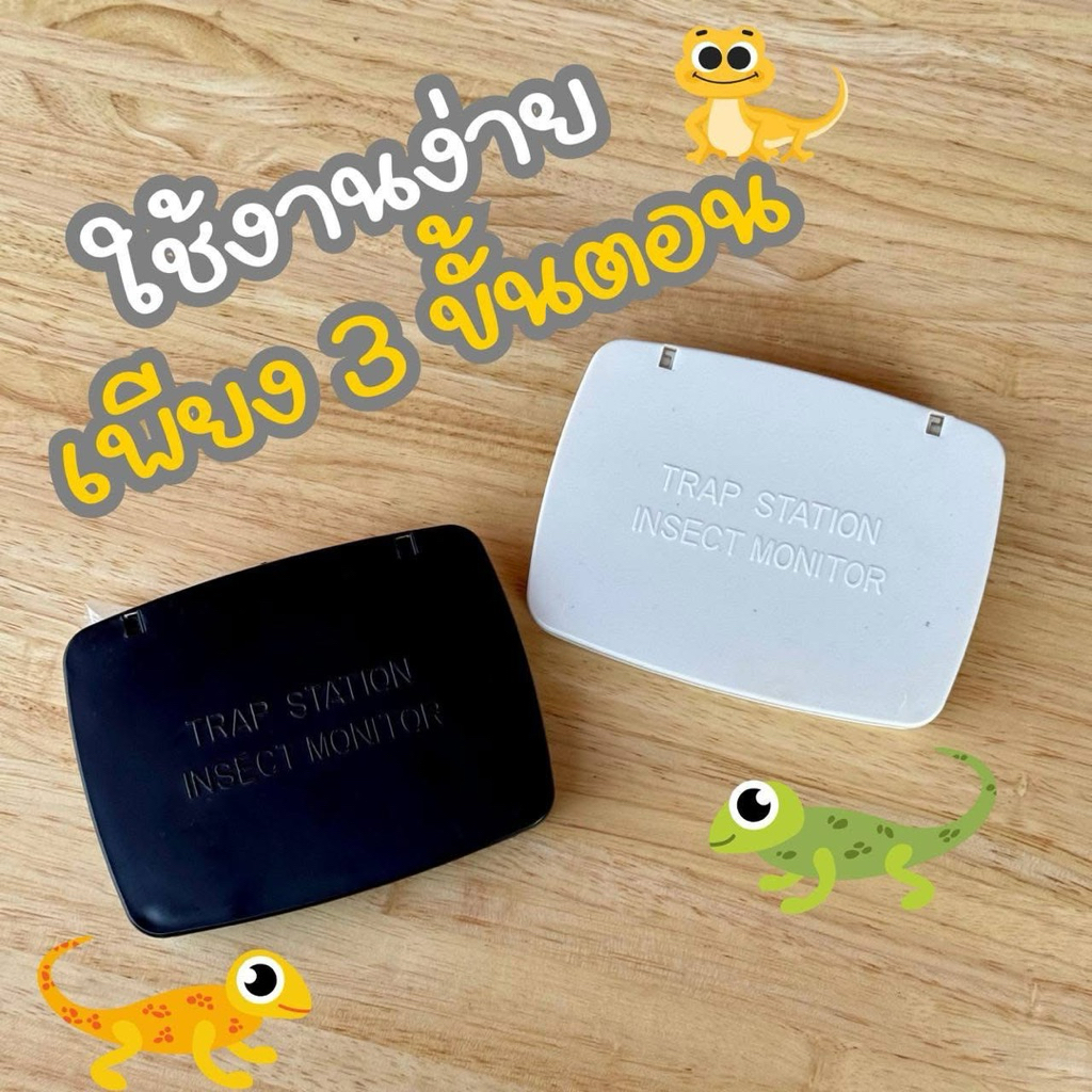 กล่องจิ้งจก กับดักจิ้งจก กาวดักจิ้งจก Lizard glue trap (สินค้าไทย)