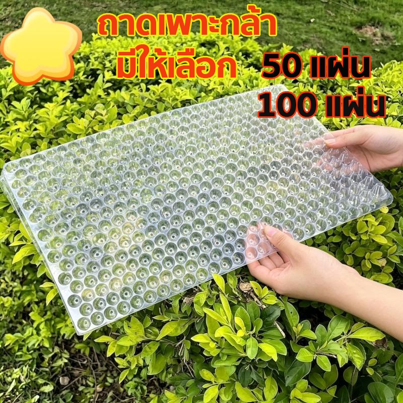 🌱ถาดเพาะกล้า ถาดเพาะเมล็ด ถาดเพาะชำ ถาดเพาะ ถาดเพาะต้นอ่อน เพาะเมล็ด ถาดเพาะไฮโดร 434 หลุม50 ชิ้น100 ชิ้น ☀️