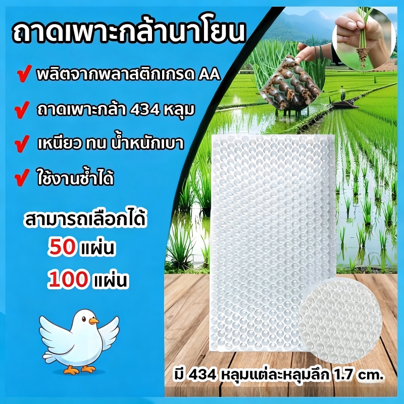 ถาดเพาะกล้านาโยน (แบบหนา) 434 หลุม 50/100 ชิ้น ถาดกล้านาโยน ถาดเพาะนาโยน ถาดปลูกกล้านาโยน ปลูกข้าว
