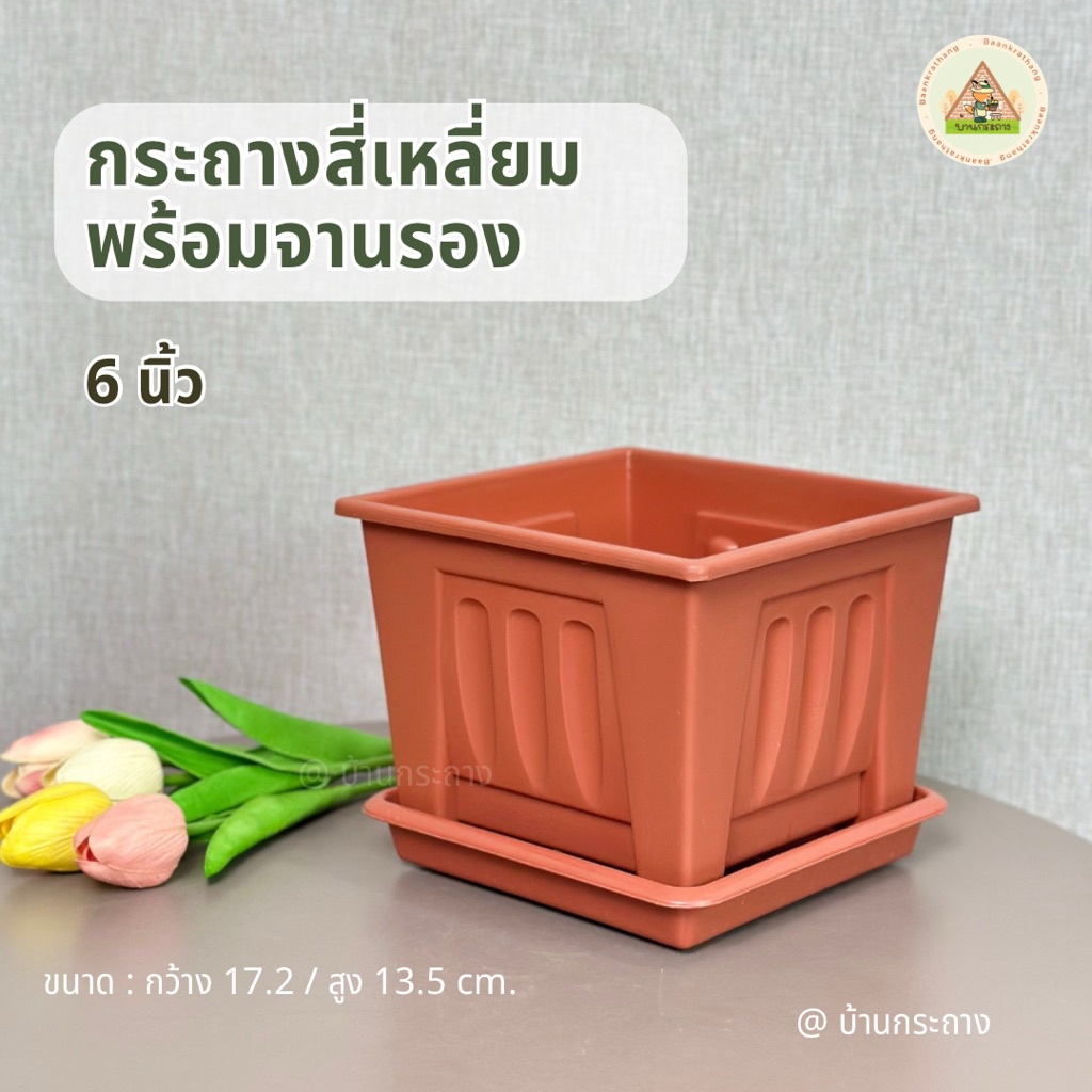 กระถางสี่เหลี่ยม6นิ้วพร้อมจานรอง กระถางต้นไม้เหลี่ยม